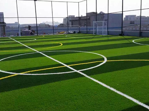 運(yùn)動(dòng)場地